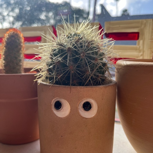 Meet your Posher, Alaina - Picture 1 of 1